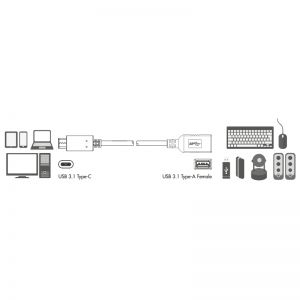 TechLogics - Adapter USB 3.1 (M) - -> USB 3.0 (F) LogiLink