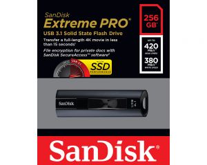 TechLogics - USB 3.1 FD 256GB Sandisk Extreme Pro