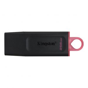 TechLogics - USB 3.2 FD 256GB Kingston DataTraveler Exodia
