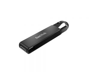TechLogics - USB-C 3.1 FD 256GB Sandisk Ultra