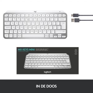 TechLogics - KB Logitech MX Keys Mini Minimalist Illuminated Grijs