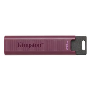 TechLogics - USB 3.2 FD 256GB Kingston DataTraveler Max Type A Gen 2