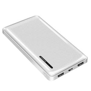 TechLogics - Power Bank 10000mAh LogiLink 2x USB-A Wit
