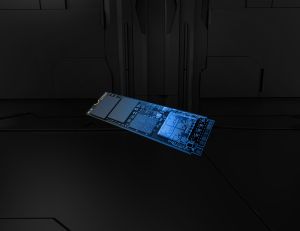 TechLogics - Kingston Fury Renegade G5 | 2TB NVMe SSD | M.2 | Gen5 | 14.700MB/s