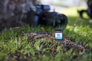 TechLogics - SDXC Card 1TB Kingston U3 V30 Canvas Go! Plus