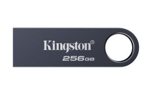 TechLogics - USB 3.2 FD 256GB Kingston DataTraveler SE9 G3